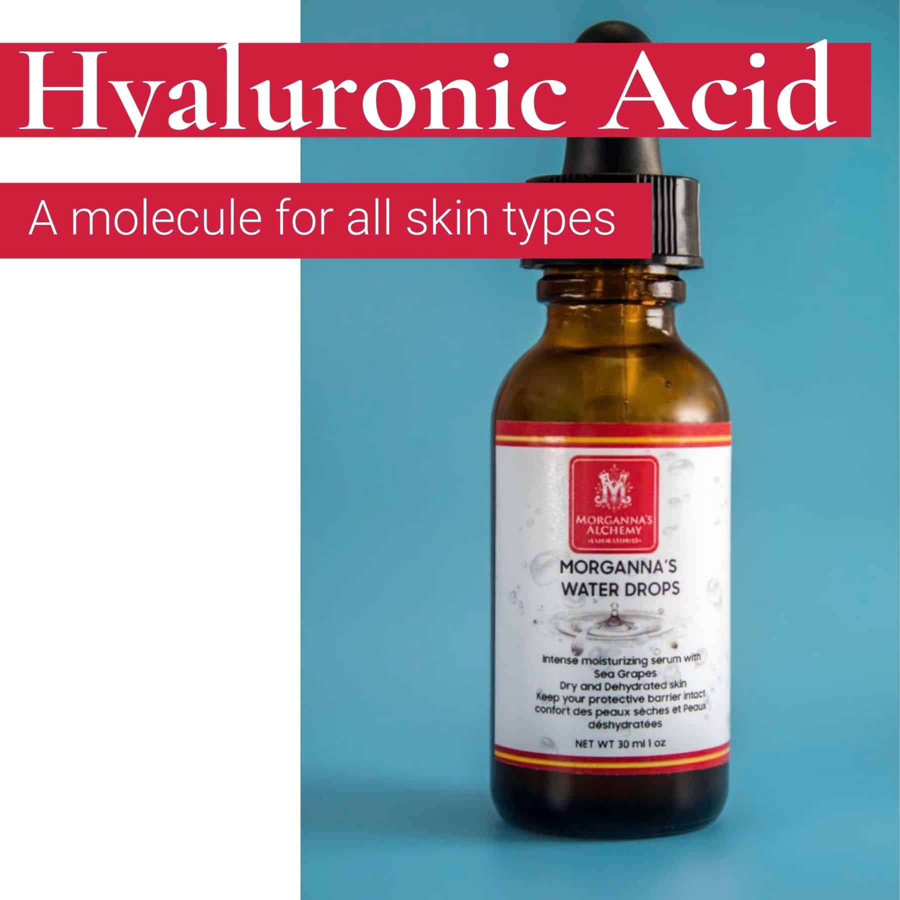 Hyaluronic Acid A Molecule For All Skin Types Alchemy
