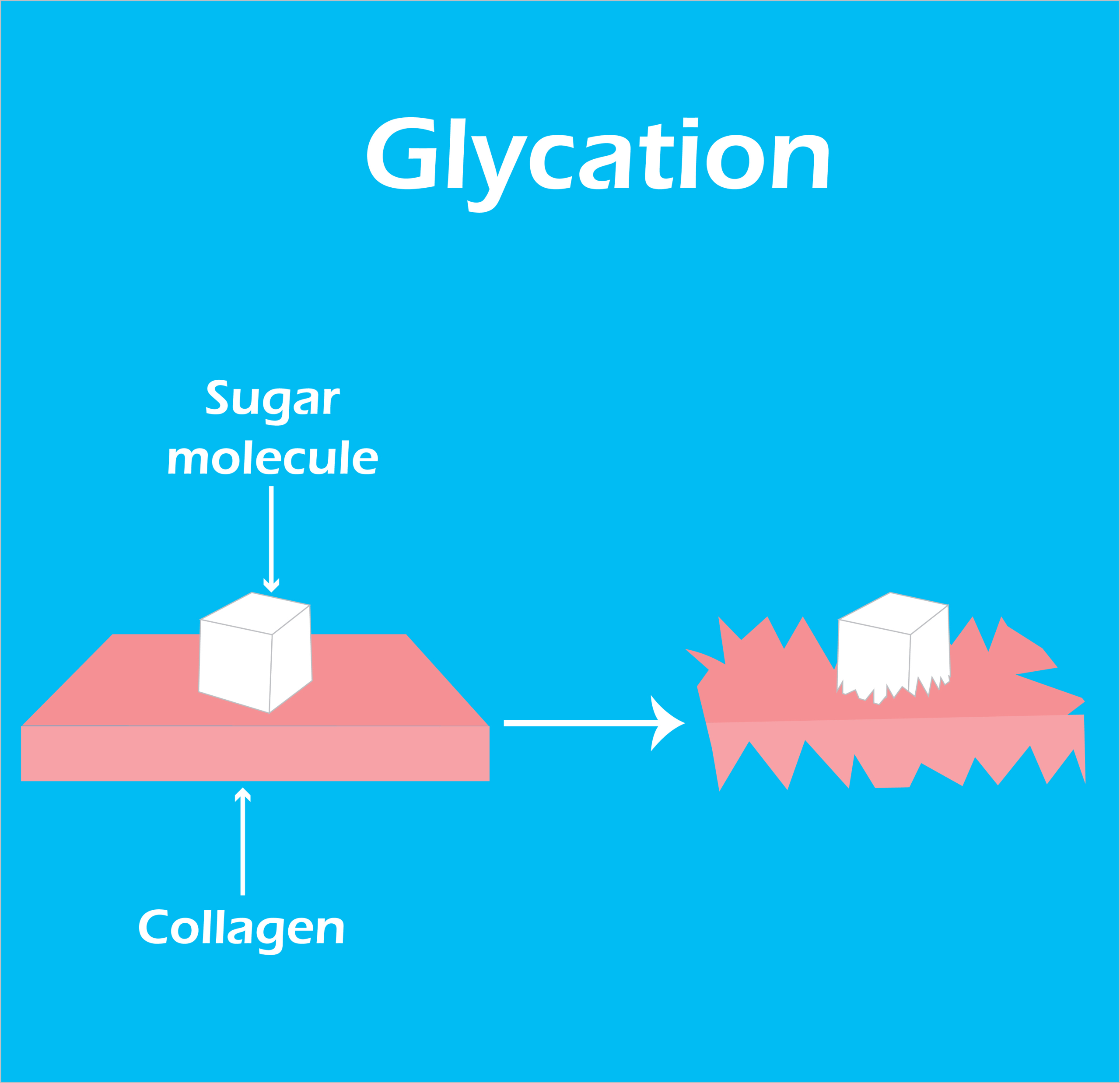 glycation-on-skin-effect-menopause